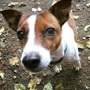 Meet your Posher, Mandy